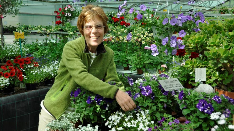 Inger Filipsson har ägt Funbo plantskola i 30 år. Det har hänt att ungdomar ringt och trott att det är en trädgårdsskola. Men ordet plantskola betyder att man planterar om småplantor från fröbädd till krukor eller lådor.