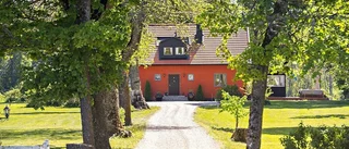 Klicktoppen: Huset känt från TV och villa med parkallé