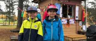 Språkfestivalen – en succé