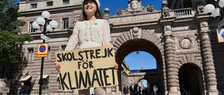 Greta Thunberg slutar med skolstrejker