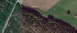 Fastighet i Trosa kommun såld för 450 000 kronor