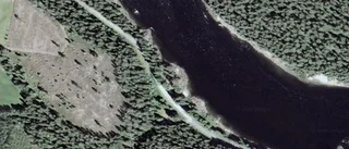 Tomt i Älvsbyns kommun har fått ny ägare - priset: 200 000 kronor