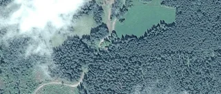 Nya ägare till fastighet i Landsbygd