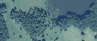 57-åring ny ägare till 30-talshus i Skedevi - prislappen: 2 000 000 kronor