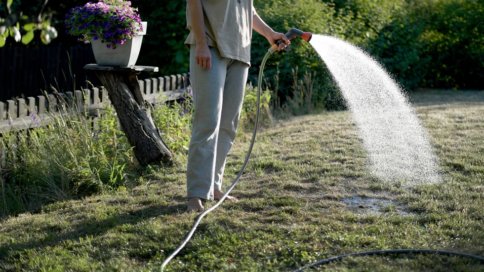 Inget bevattningsförbud i sikte i Uppsala kommun i sommar. Men blir det torrt och varmt kan det snabbt ändras. 