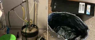 Bilderna som avslöjar vad som fanns på toaletten