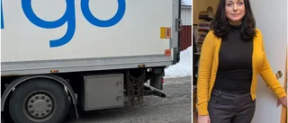 Kravallstaket ska skydda barnen från olyckor