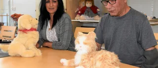 Robotkatt sprider lugn på boendet: "Har många olika namn"
