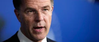 Nederländernas regering avgår