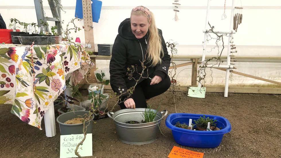 Maria Andersson medverkade för första gången och sålde bland annat tomatplantor och drivvedskonst.