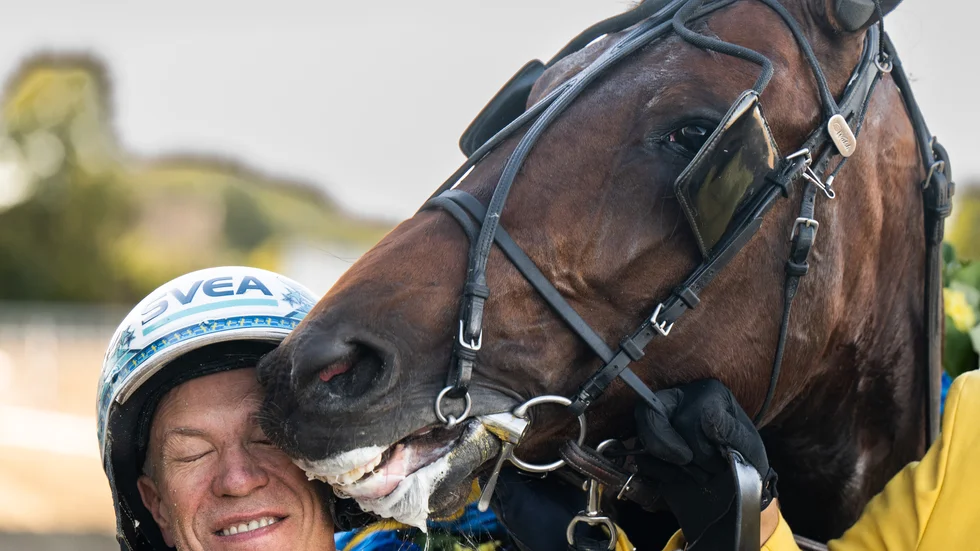 Kusken Örjan Kihlström får en kyss av hästen Francesco Zet efter vinsten Derbyt.