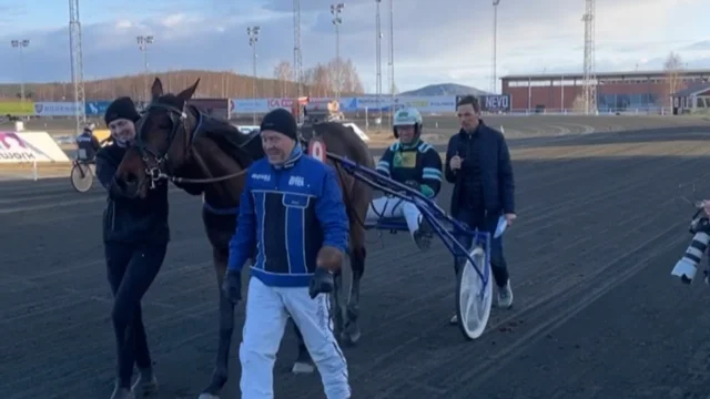 4-åriga Sunlight vann fjärde årssegern till oddset 22 gånger pengarna. Mikael Lindqvist tränar. Stefan Johansson satt i sulkyn.