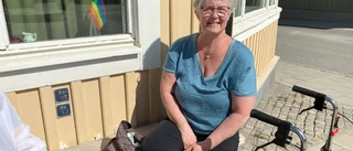 Behöver Piteå ett nytt handelsområde?
