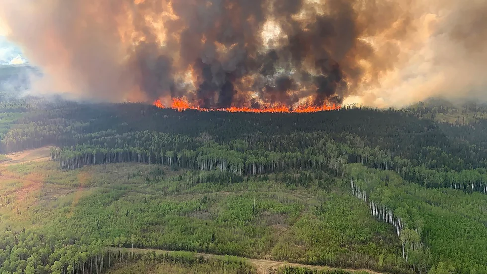 Den så kallade Bald Mountain-branden i en bild från i fredags förra veckan.