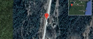 Fallna träd skapar problem i trafiken