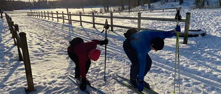 En riktig skidvinter: "Här finns 1,5 mil bra spår"