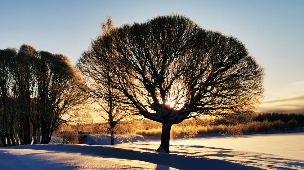 Solen har återvänt till Piteå.