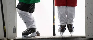 Snart blir det möjligt att låna sportartiklar igen