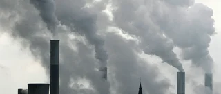 Har vi gått vilse i vuxenvärlden?