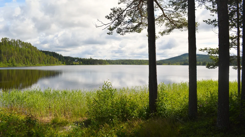 En fastighetsägare som överklagat länsstyrelsens beslut får rätt att bygga vid Norsjön.