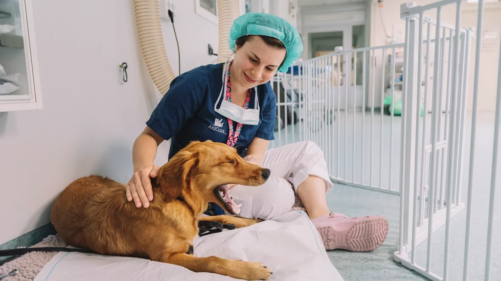 Elif Çalik är 27 år och kommer från Istanbul i Turkiet. Där är hon utbildad till veterinär men i Sverige tvingas hon jobba som djurvårdare.