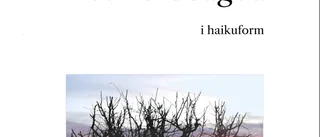 Sune Axelssons haikus är lika stillsamma som storslagna