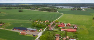 Bönderna badar i bamsiga bidrag
