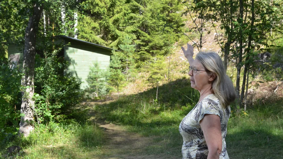 Markägaren Pia har polisanmält händelserna. 