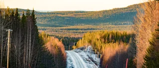 "Viktigt att det kommer förebilder för unga tjejer"