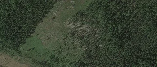Lantbruksfastighet i Norrfjärden såld för 1 750 000 kronor
