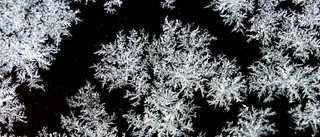 ...då kommer snön             
