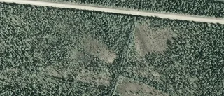 2 500 000 kronor för skog i Koler