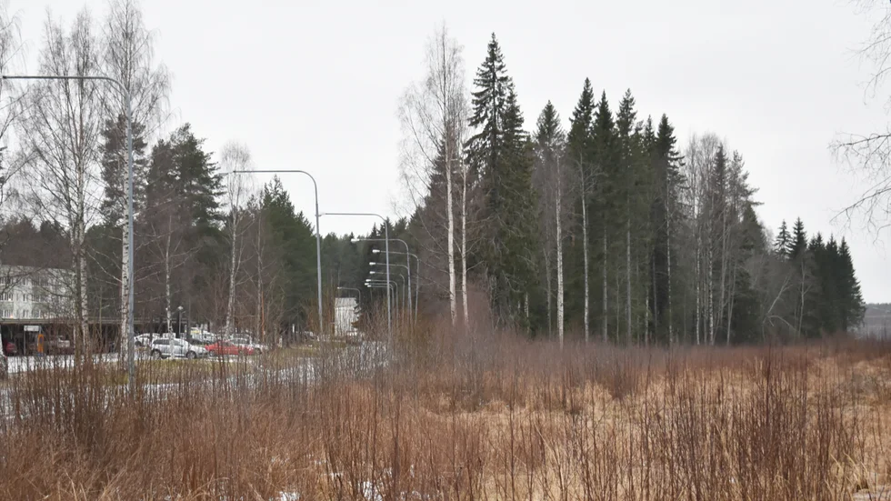 Skogen som syns rakt fram i bild ska avverkas och där ska hyreshusen byggas 