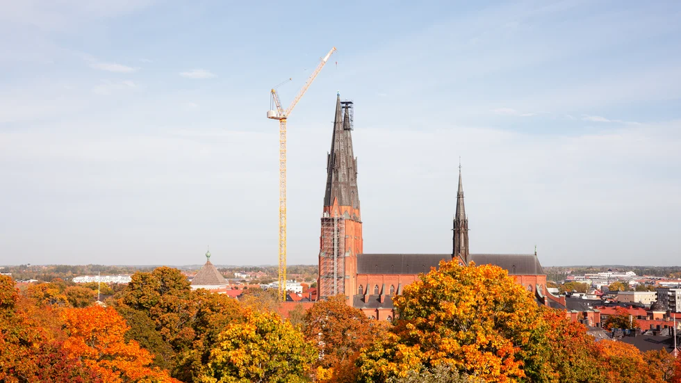 "Att kommunicera kan vara att utbyta och förmedla tankar, inte bara att prångla ut av höga pampar redan fattade beslut", skriver insändarskribenten.