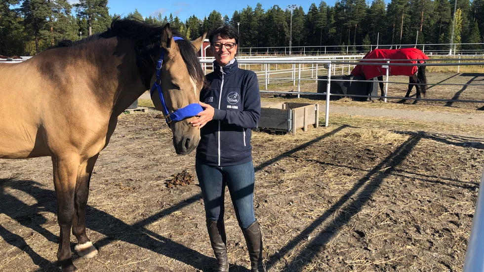 Ett 40-tal hästar har sitt hem vid Piteå Ridklubbs stall på Grisberget. Där bör de vara säkra från EHV-1. "Jag tror inte att det finns någon större oro", säger ridskolechefen Eva-Lena Wikander.