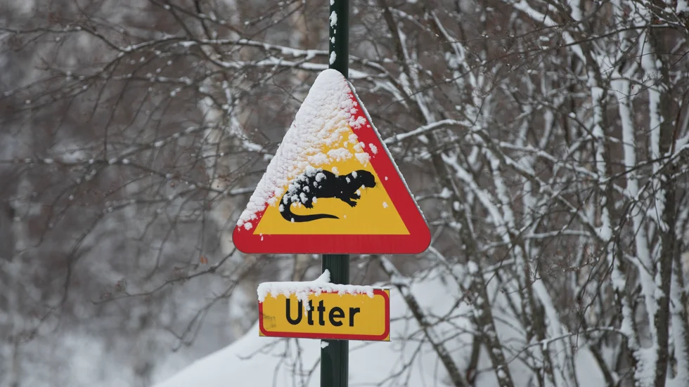 Den undre delen av den här skylten återfanns i en plogkarm. En ny skylt är dock på väg och den här gången är det Trafikverket och BDX som ombesörjer det. 