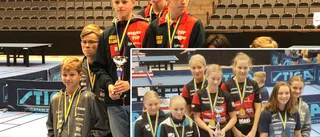 Dubbla SM-medaljer för Eskilstuna BTK