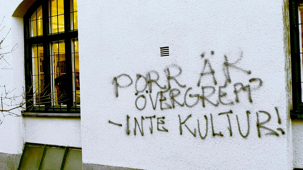 Skribenten menar att en hel generation av unga män är skadade av våldsporren som är lättillgänglig på internet. 