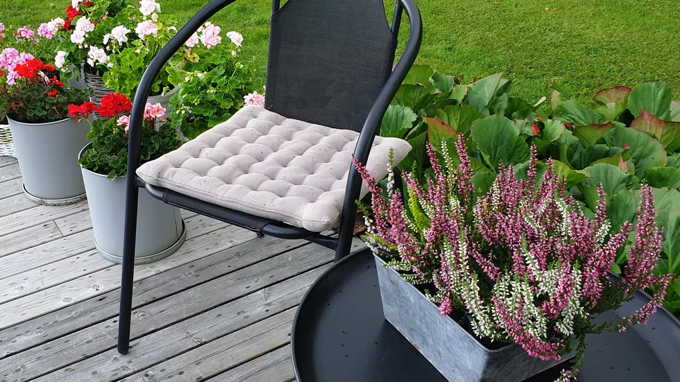 Vackra pelargoner och ljung samsas.