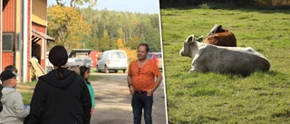 Nyfikna barn fick lära sig mer om livet på en bondgård