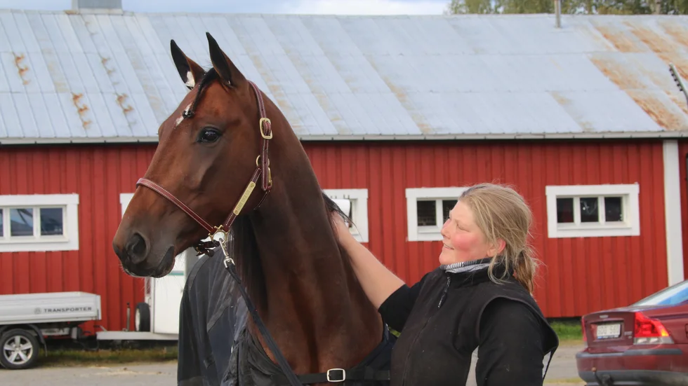 4-årige Bodenhästen Leave Your Sox On startar i V75 med fem raka segrar i bagaget. På bilden tillsammans med delägaren och skötaren Elisabeth Mannberg.
