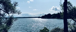 Bättre vattenkvalitet för Garnsviken