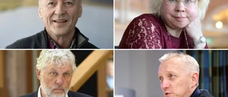 Fyra bra kandidater till att bli landshövding