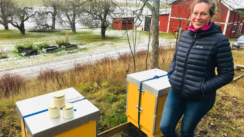 Malin Schedwins bin har en härlig utsikt med på sommaren närhet till såväl raps, klöver och maskros, som äpplen, blåbär, lingon och hallon –och så backsipporna på Sofiebergsåsen.
