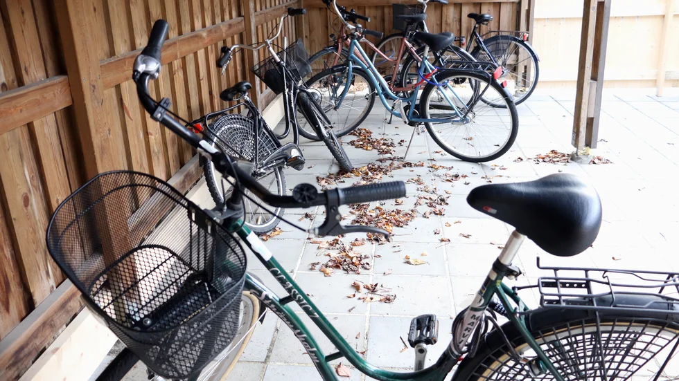 En kvinna hittade sin cykel ett år efter försvinnandet. Cyklarna på bilden har inget med texten att göra.