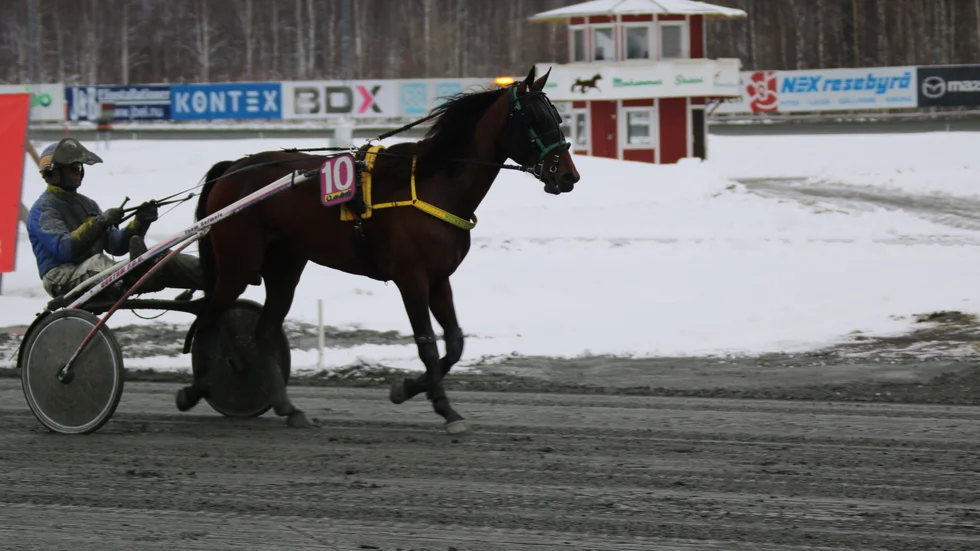 3-årige hemmahästen Witheveryheartbeat imponerade när han vann V5-4 på Bodentravet i karriärens andra start.