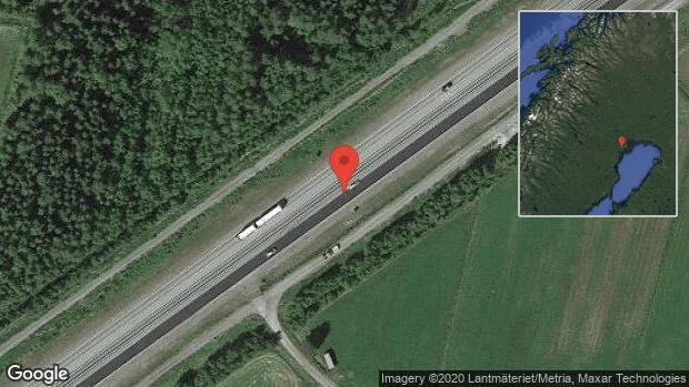 Älg på vägen på E4