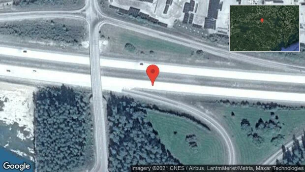 Rådjur på vägen på E20