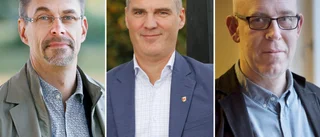 Malm högst betald – så mycket tjänar toppchefen i din kommun