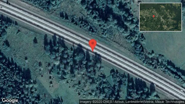 Hjort på vägen på E20